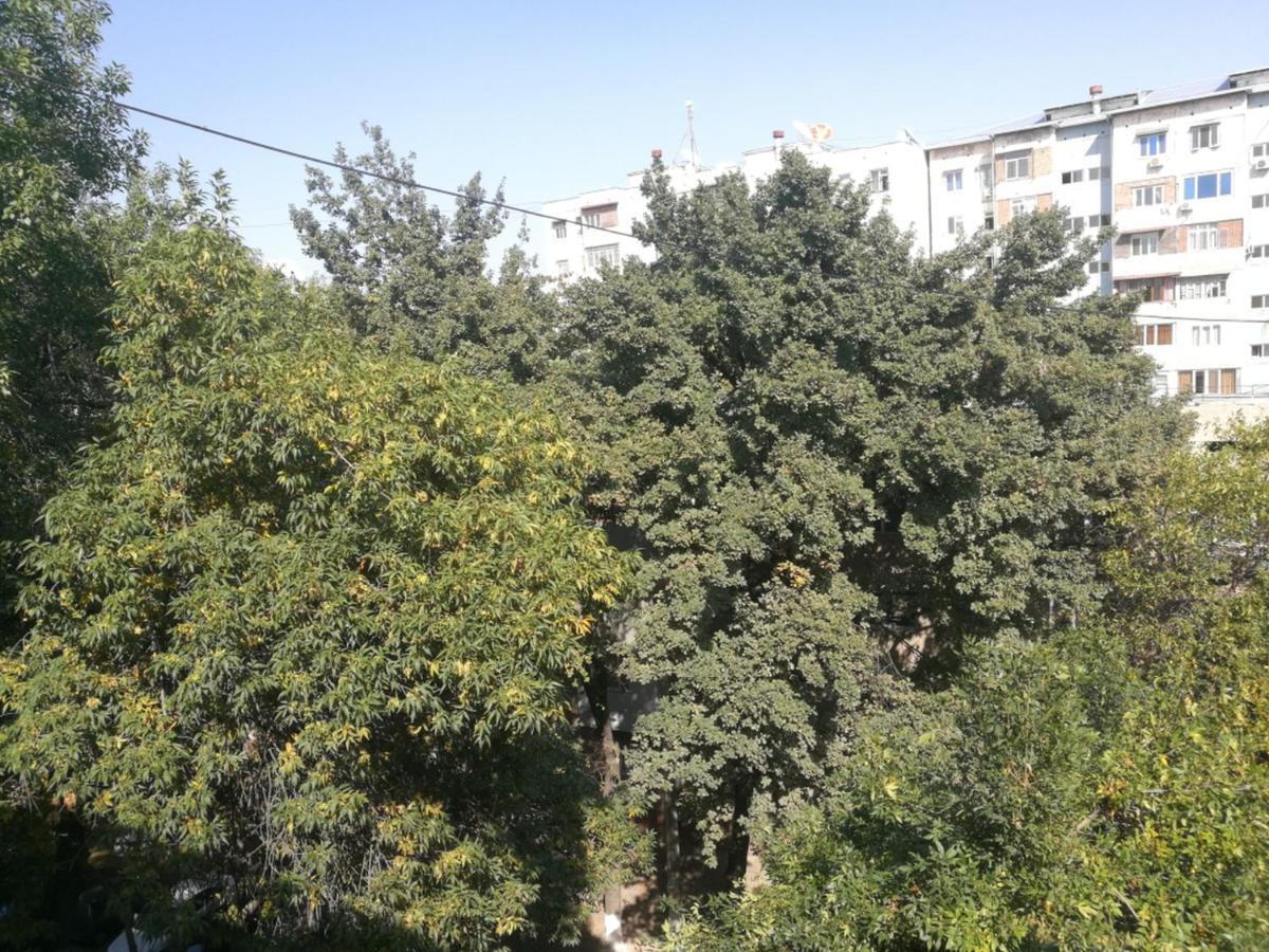 Apartment 2 Bed Room In The Center Апартамент 3-Х Комнатная В Центре 타슈켄트 외부 사진
